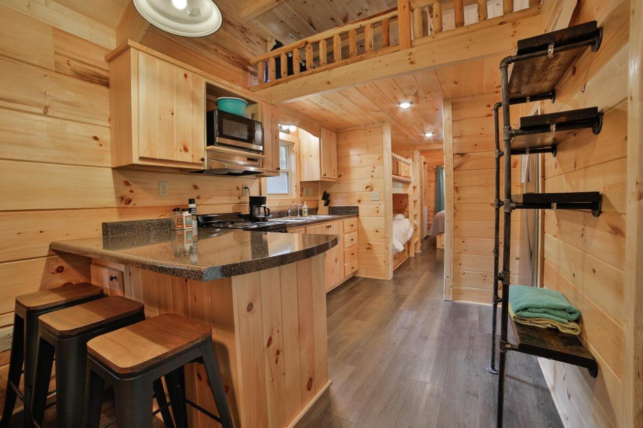 Eden Cabin Forested Tiny Home On Lookout Mtn チャタヌーガ エクステリア 写真